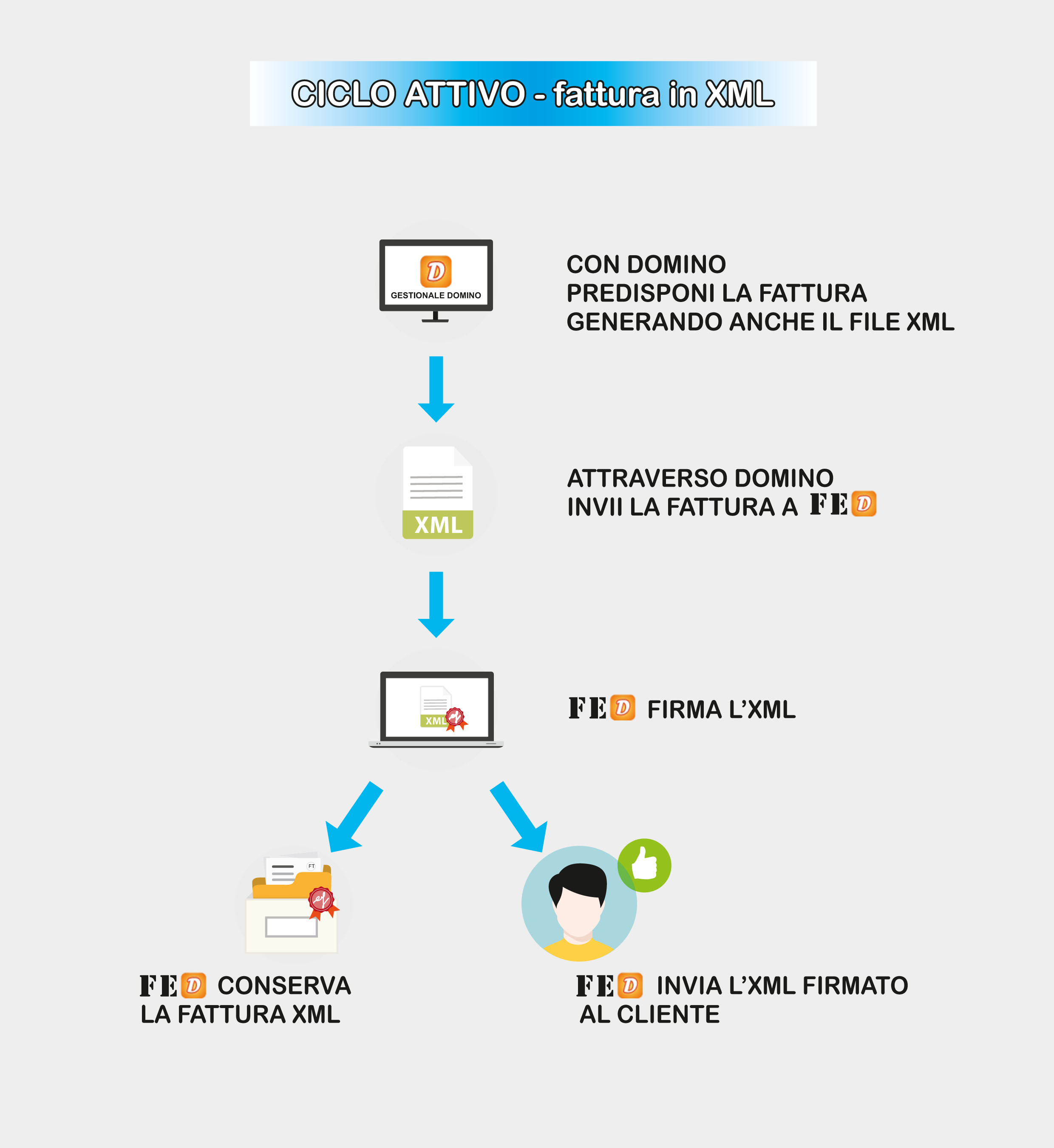 FED ciclo attivo