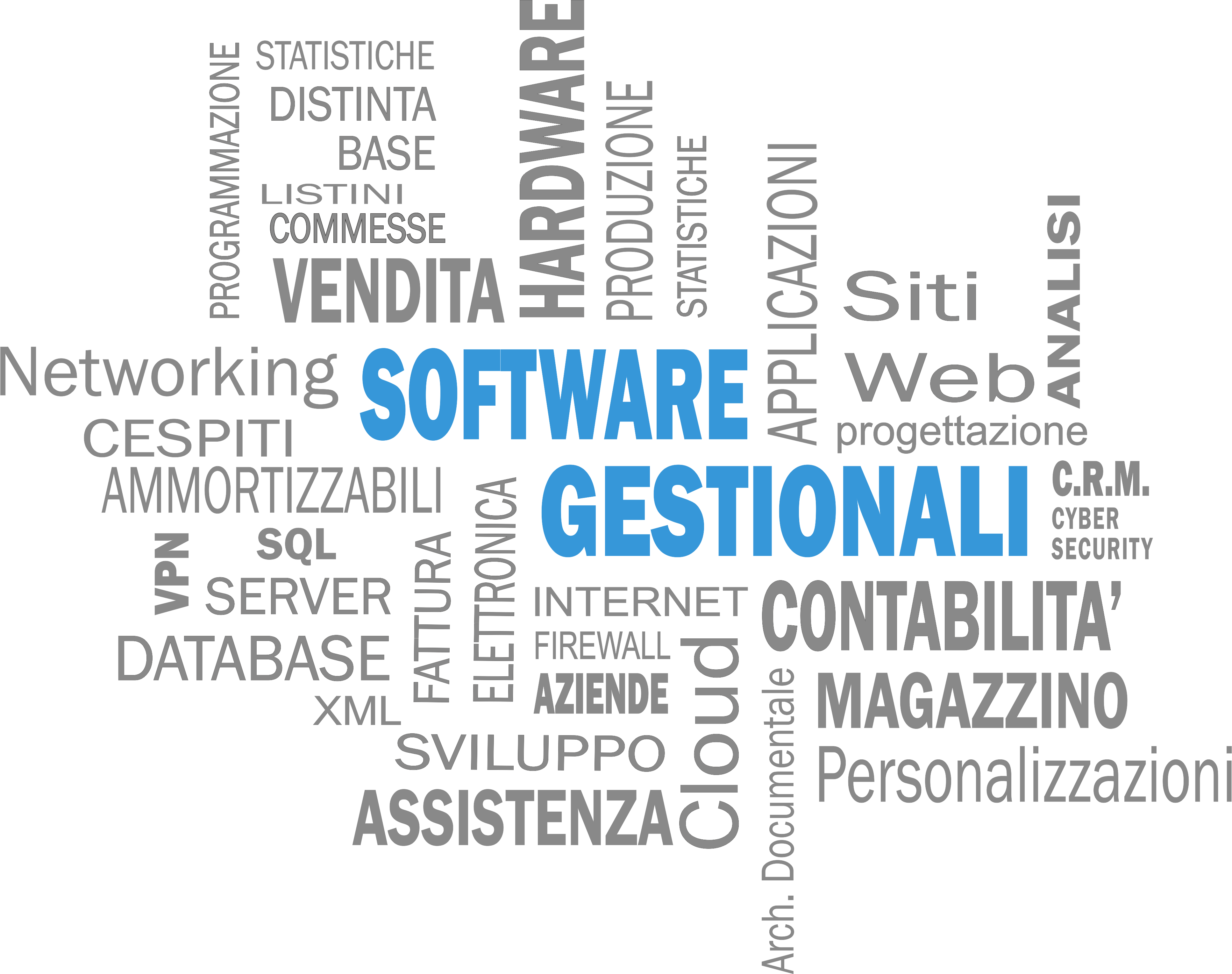 Software gestionale